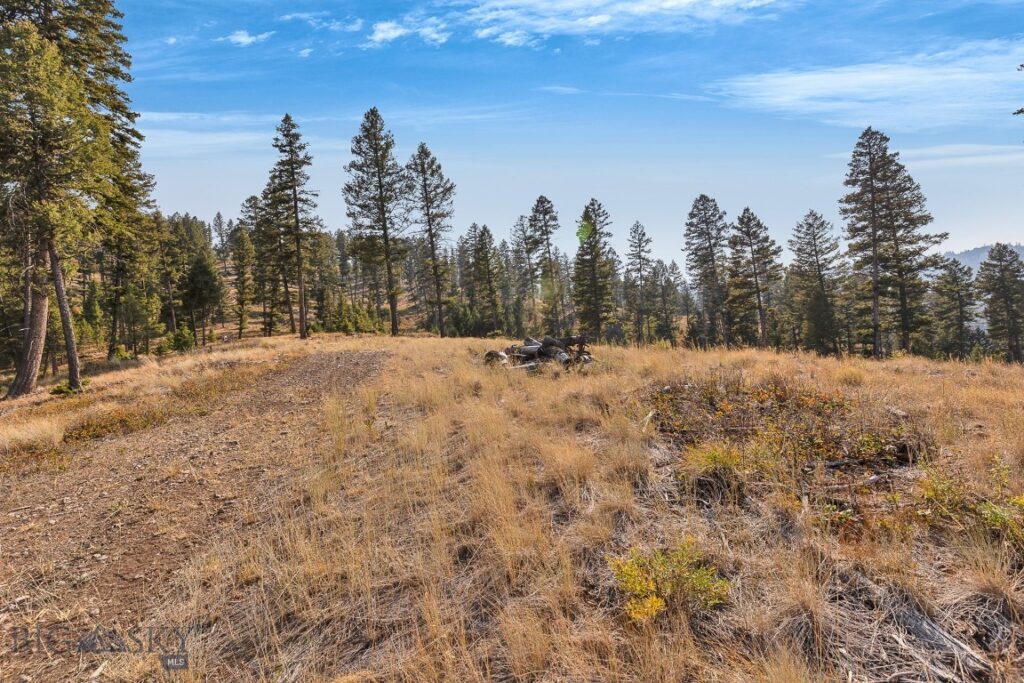 6300 Camas Creek Road, Bonner MT 59823