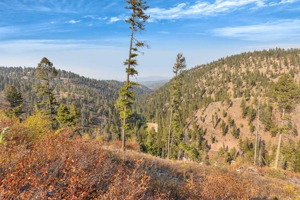 6300 Camas Creek Road, Bonner MT 59823