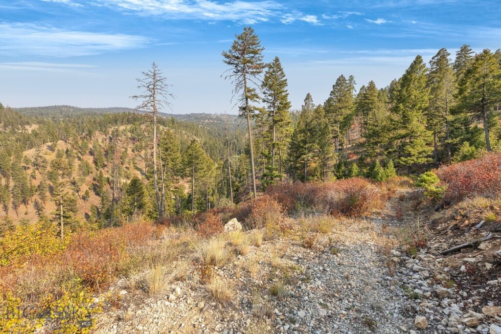 6300 Camas Creek Road, Bonner MT 59823