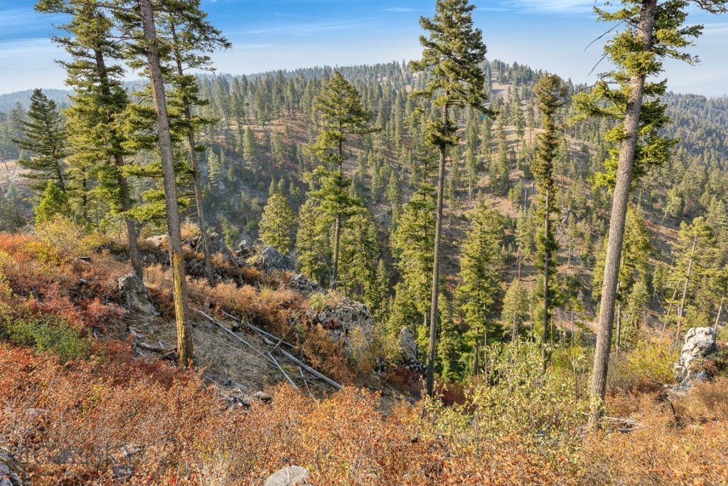 6300 Camas Creek Road, Bonner MT 59823