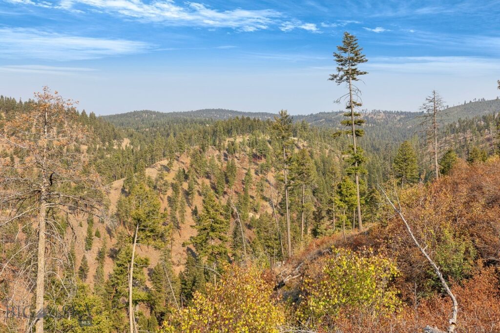 6300 Camas Creek Road, Bonner MT 59823