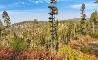 6300 Camas Creek Road, Bonner MT 59823