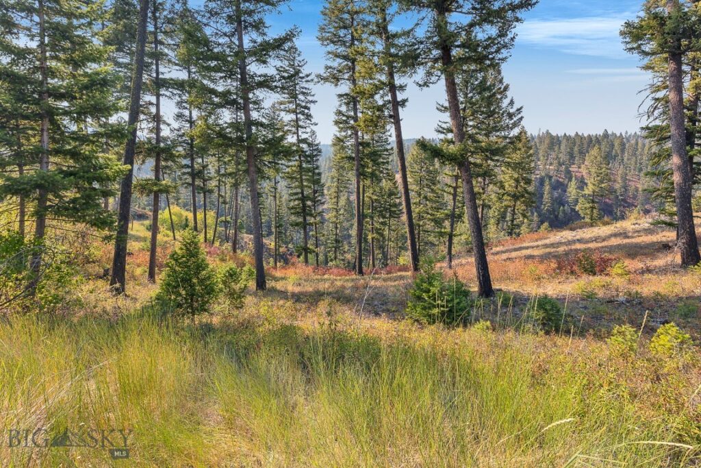 6300 Camas Creek Road, Bonner MT 59823