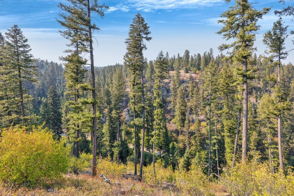 6300 Camas Creek Road, Bonner MT 59823