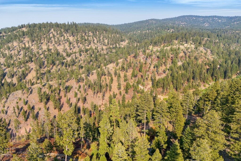 6300 Camas Creek Road, Bonner MT 59823