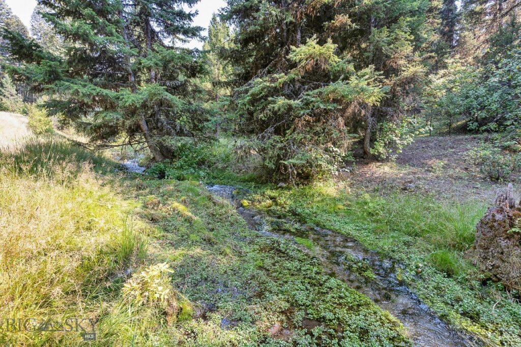 6300 Camas Creek Road, Bonner MT 59823