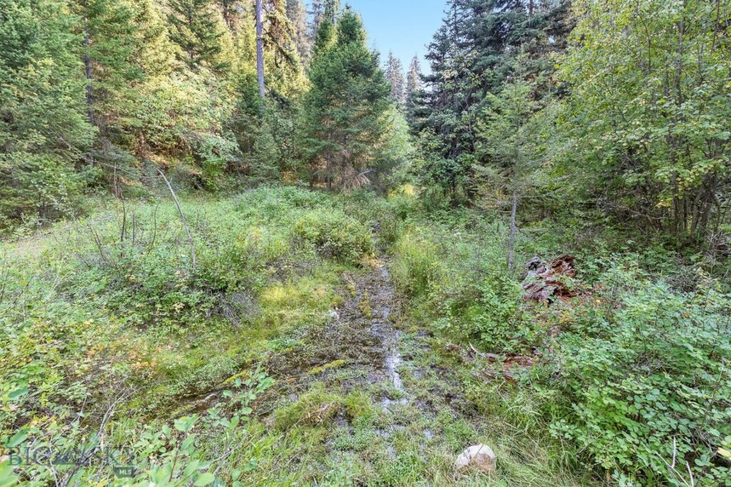 6300 Camas Creek Road, Bonner MT 59823