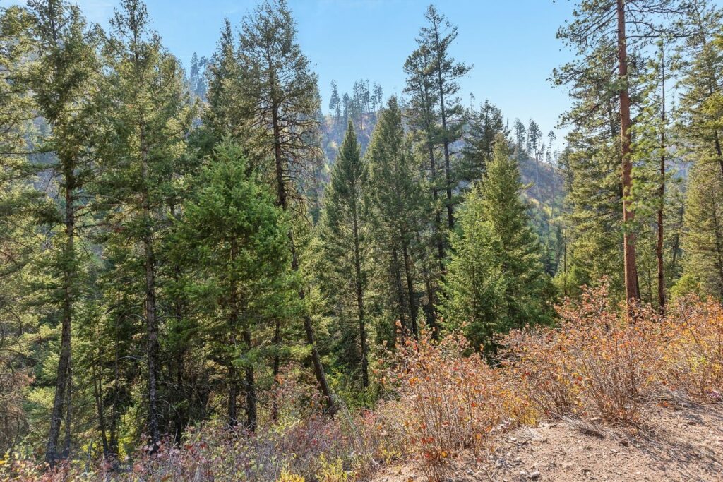 6300 Camas Creek Road, Bonner MT 59823