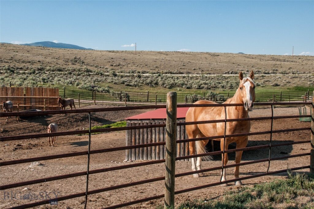981 Bon Accord, Dillon MT 59725
