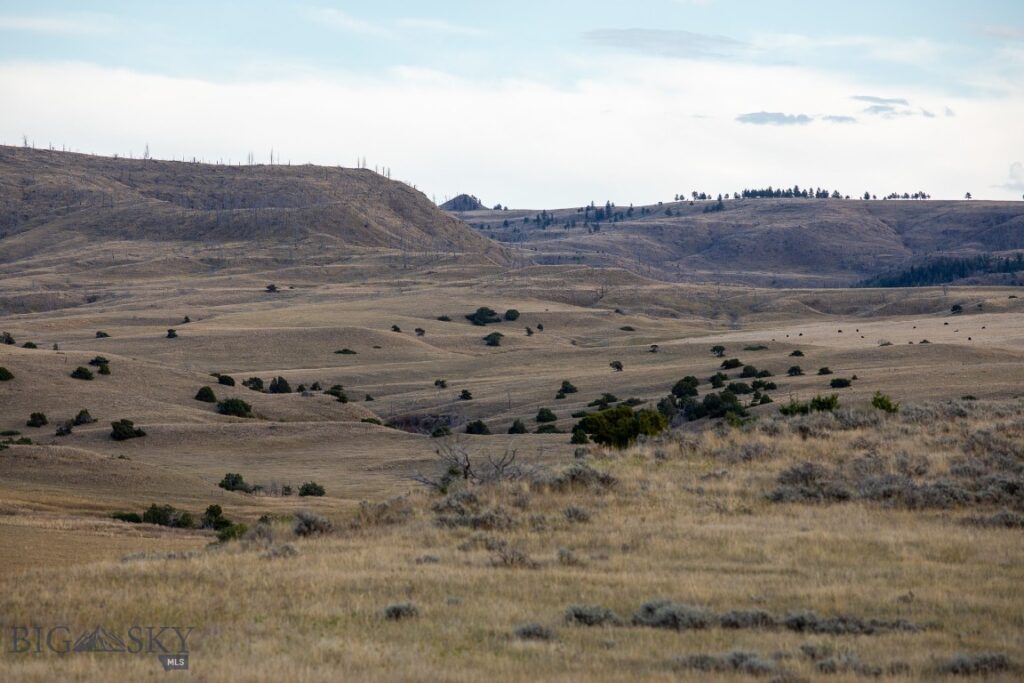 858 Lower Sweet Grass, Big Timber MT 59011