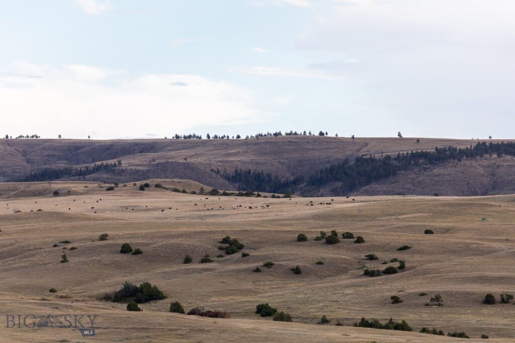 858 Lower Sweet Grass, Big Timber MT 59011