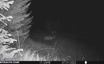 Crow Bar Indian Creek, Townsend MT 59644