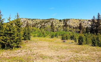 261 Kanduch Road, Anaconda MT 59711