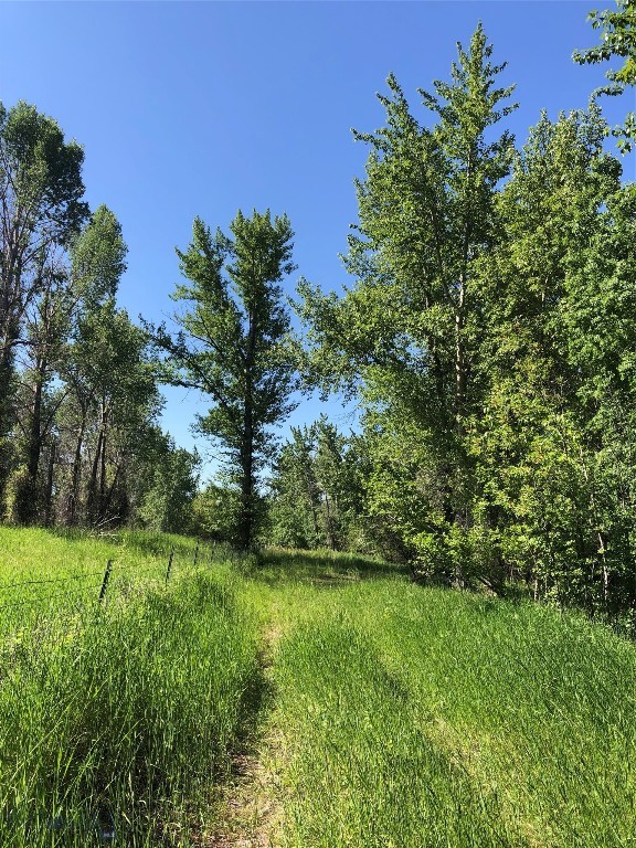 TBD Indigo, Bozeman MT 59715
