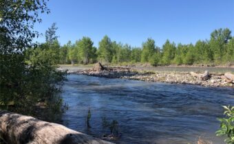 TBD Indigo, Bozeman MT 59715