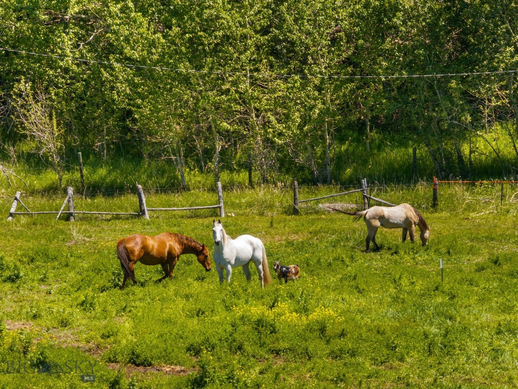 11261 Law Road, Bozeman MT 59718