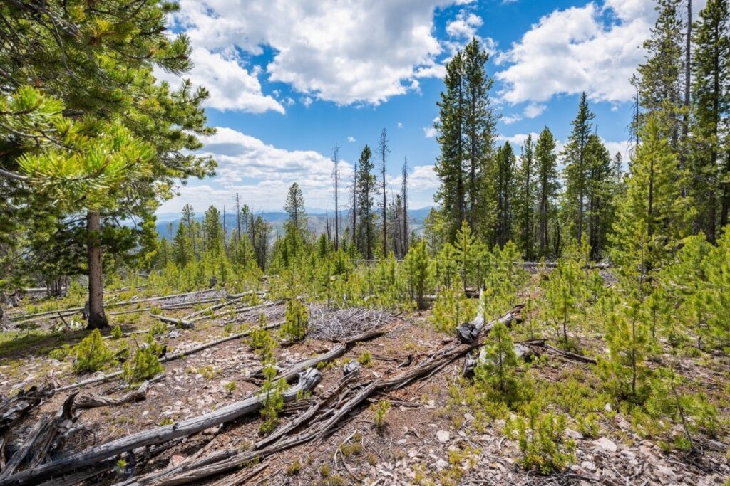 NHN Rosa Trail, Anaconda MT 59711