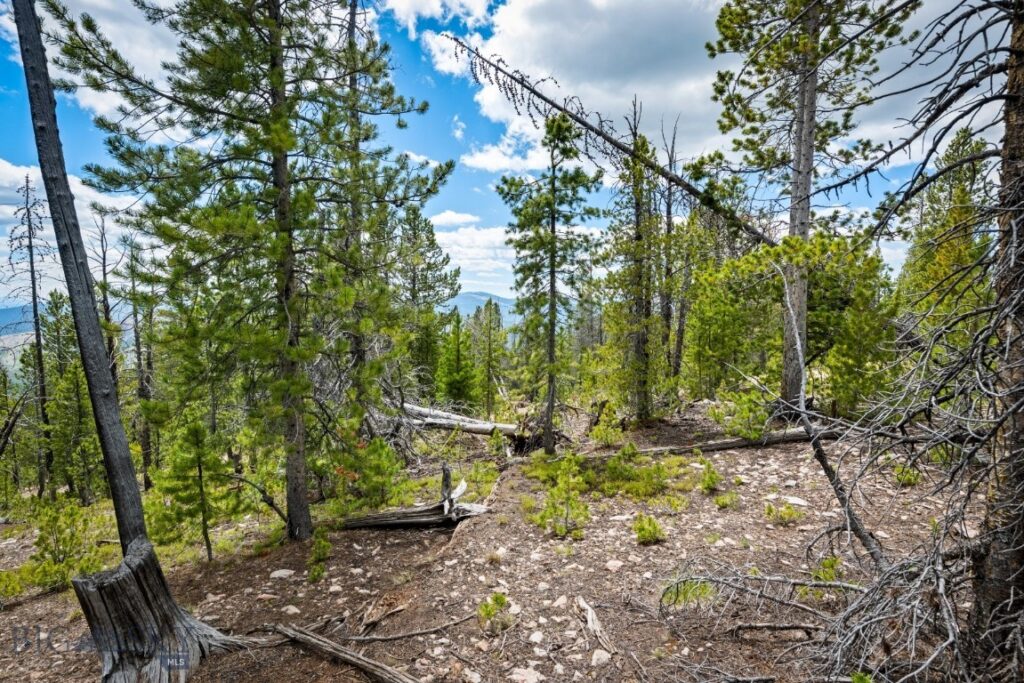 NHN Rosa Trail, Anaconda MT 59711
