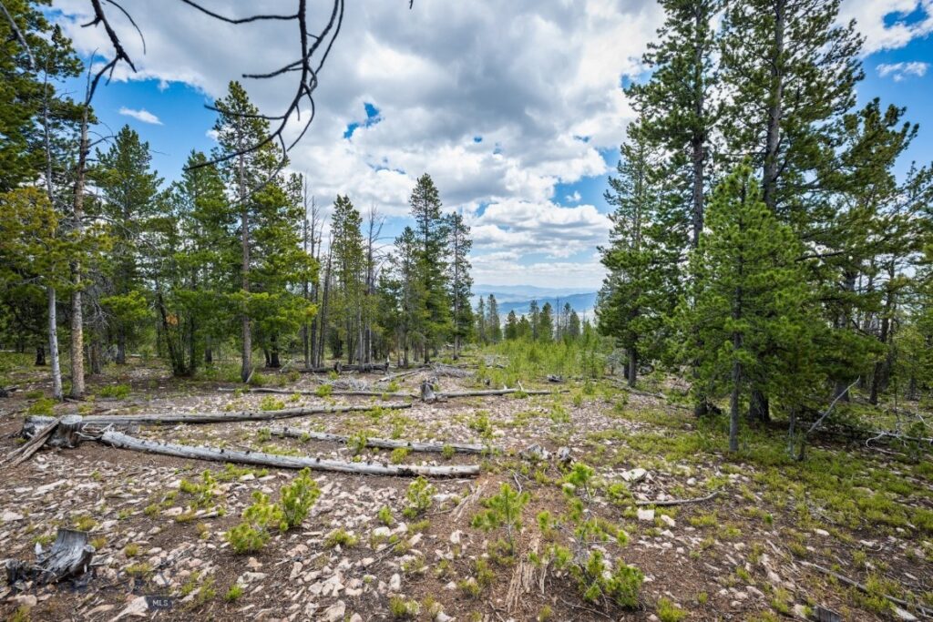 NHN Rosa Trail, Anaconda MT 59711