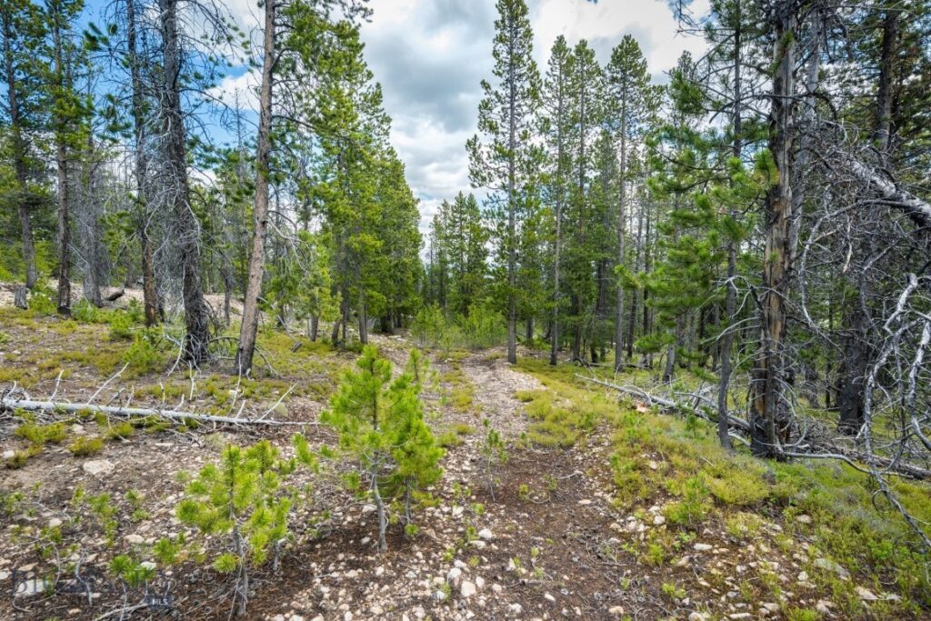 NHN Rosa Trail, Anaconda MT 59711