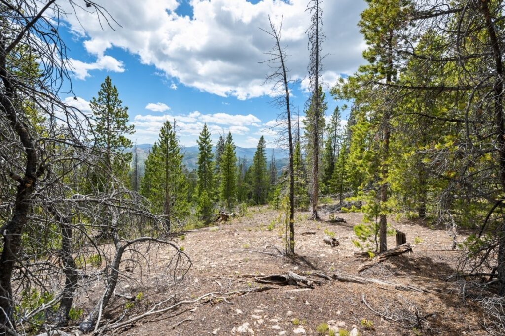 NHN Rosa Trail, Anaconda MT 59711