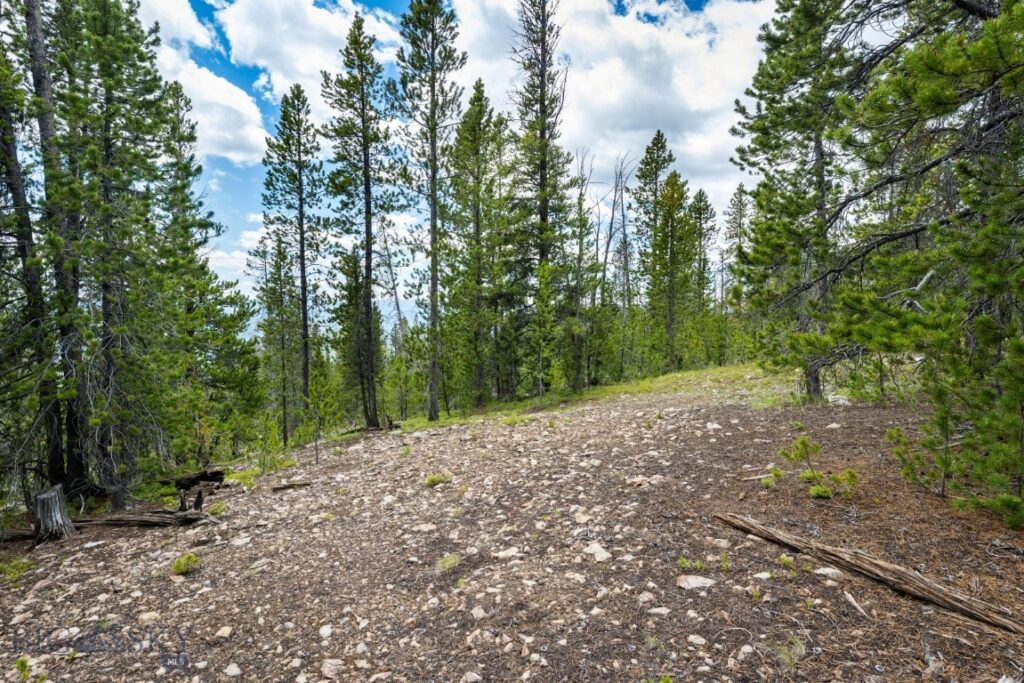 NHN Rosa Trail, Anaconda MT 59711