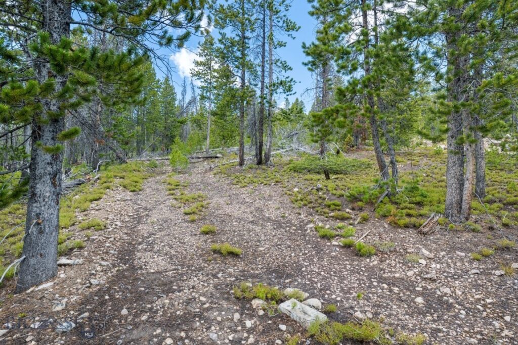 NHN Rosa Trail, Anaconda MT 59711