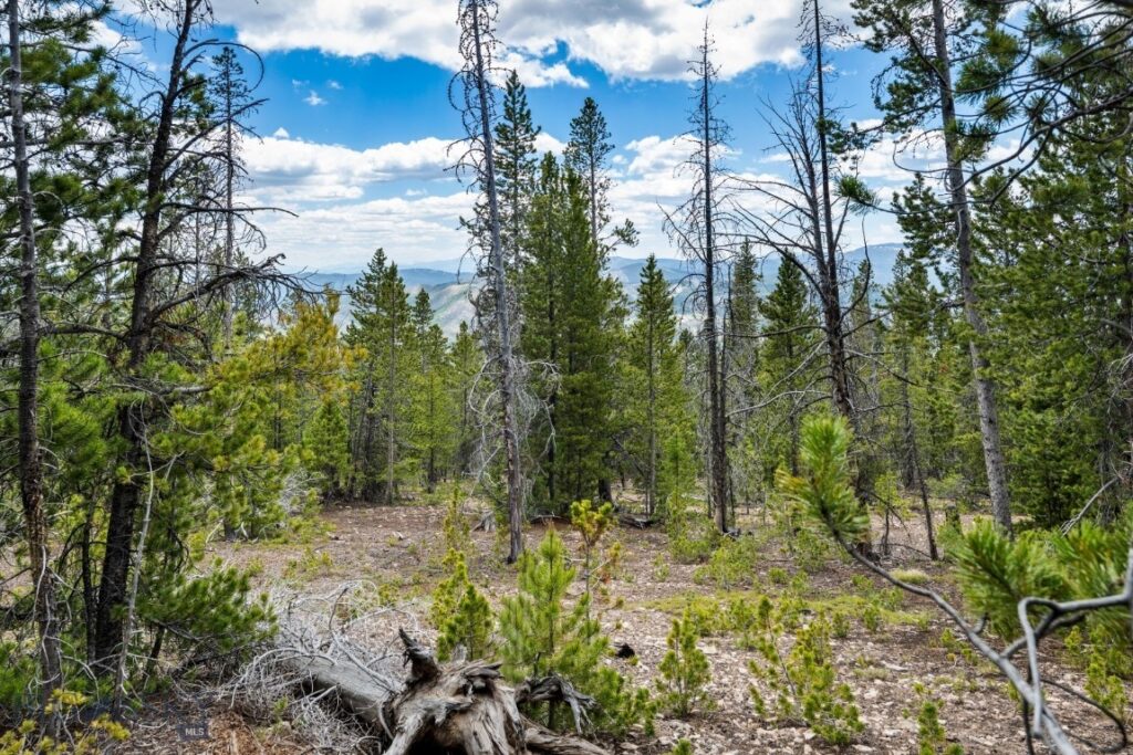 NHN Rosa Trail, Anaconda MT 59711