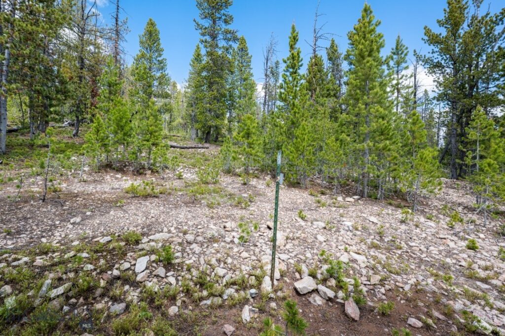 NHN Rosa Trail, Anaconda MT 59711