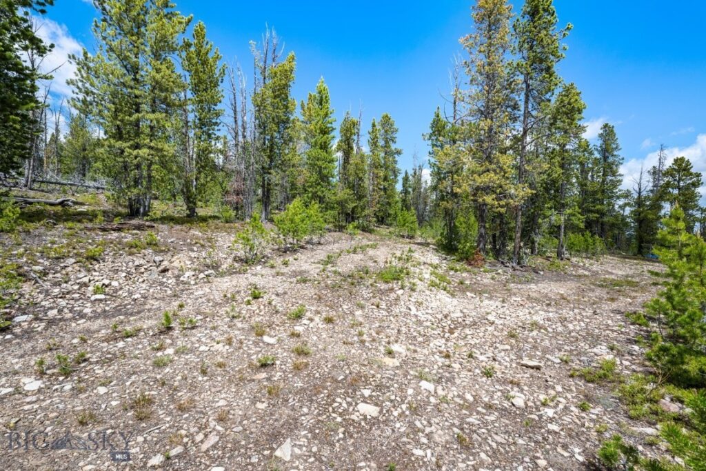 NHN Rosa Trail, Anaconda MT 59711