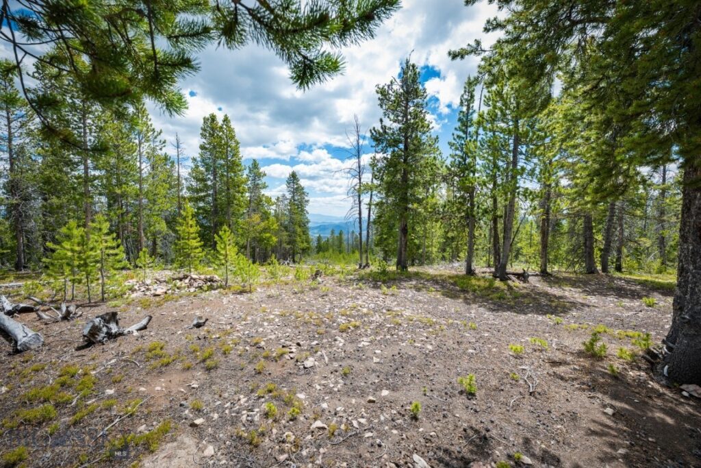 NHN Rosa Trail, Anaconda MT 59711