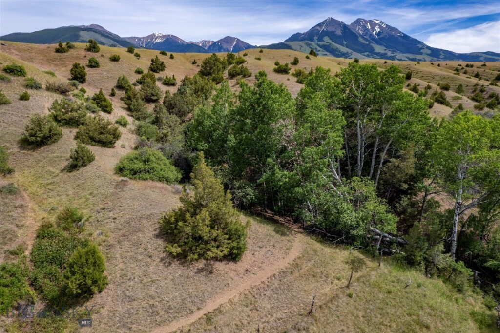 1005 East River Road, Emigrant MT 59027