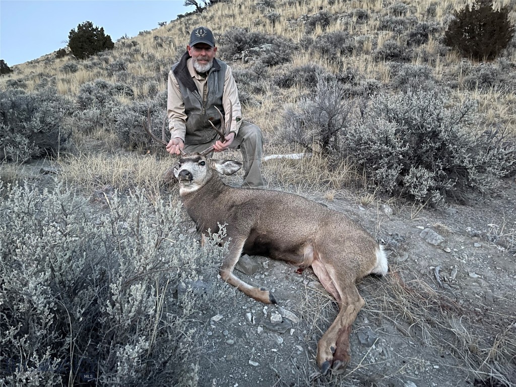 TBD Rock Creek Road, Glen MT 59732