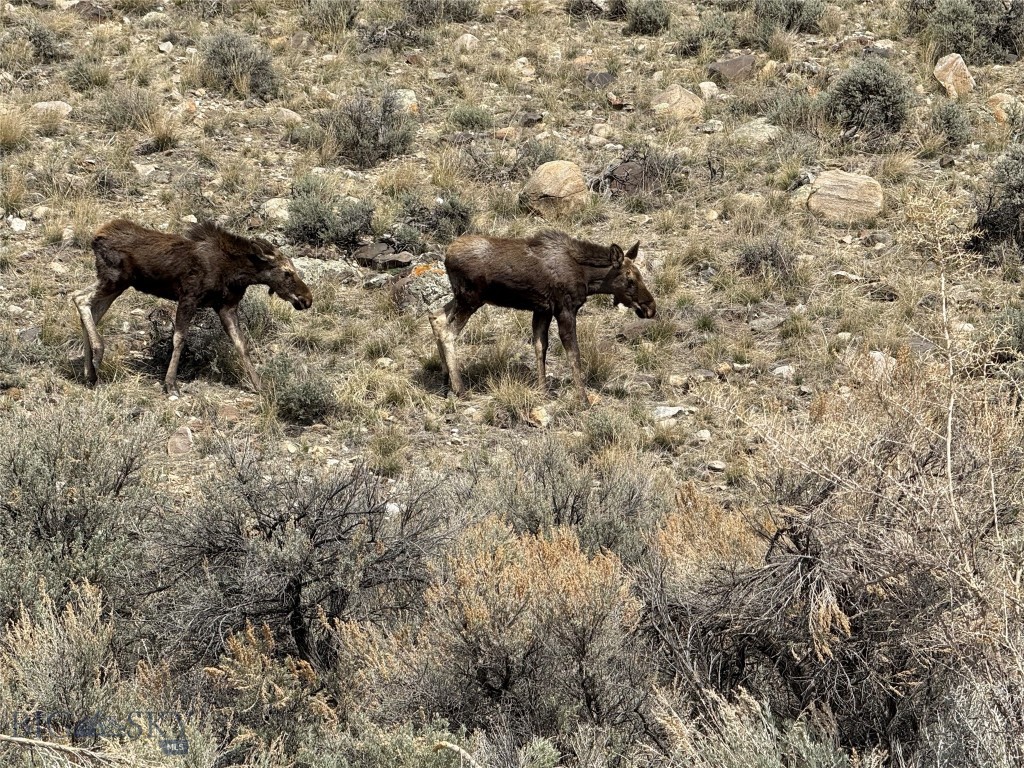 TBD Rock Creek Road, Glen MT 59732