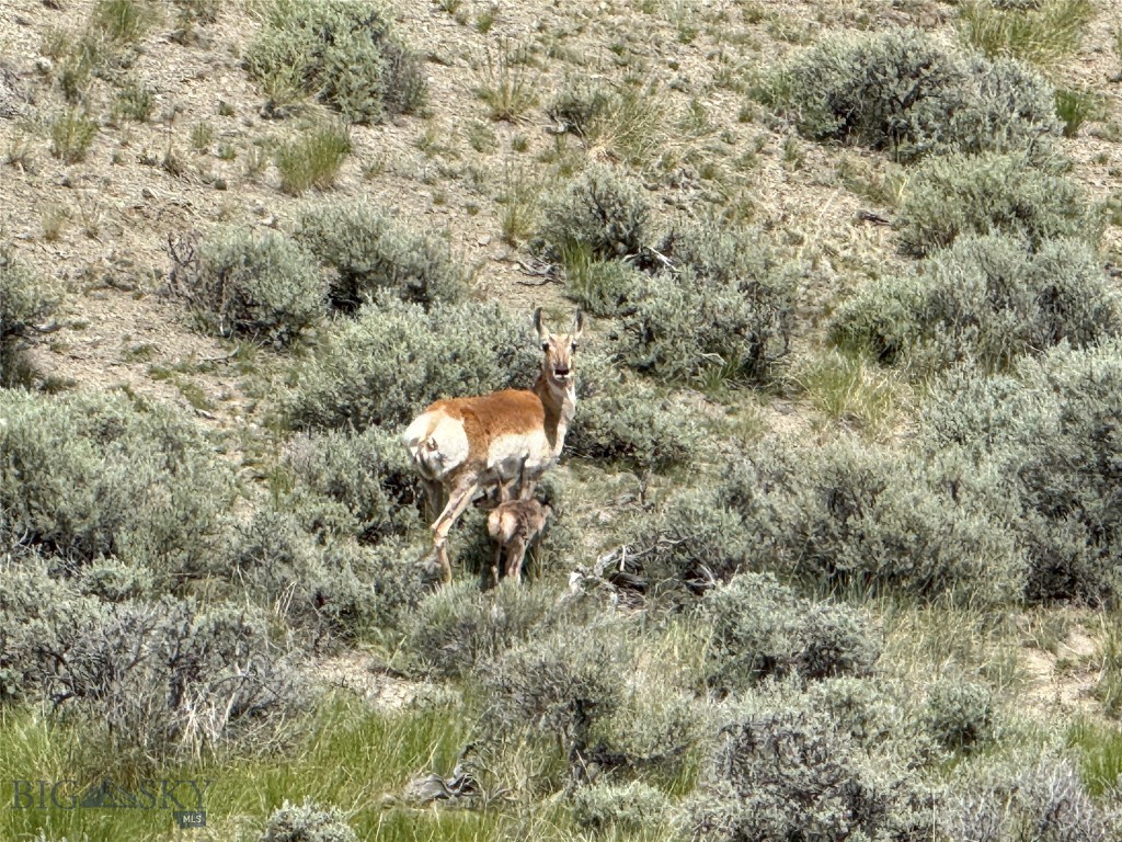 TBD Rock Creek Road, Glen MT 59732