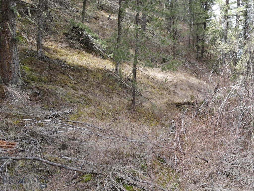 NHN Pole Gulch Road, Three Forks MT 59752