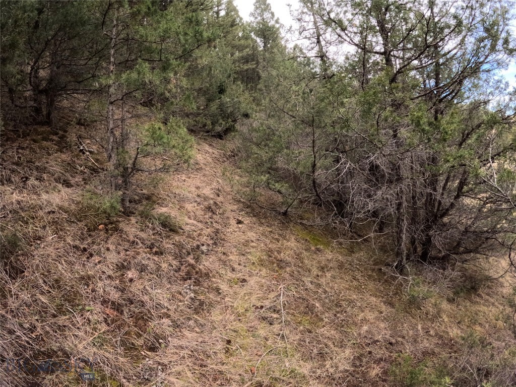 NHN Pole Gulch Road, Three Forks MT 59752