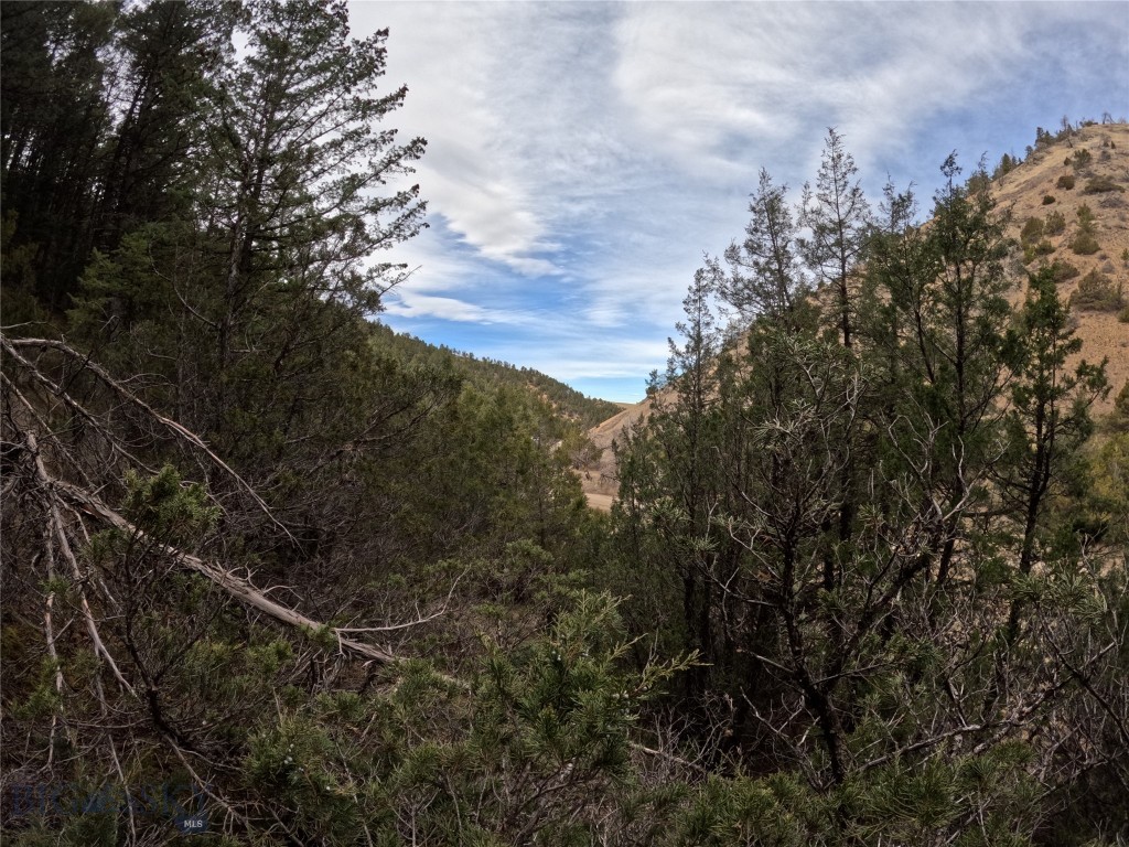 NHN Pole Gulch Road, Three Forks MT 59752