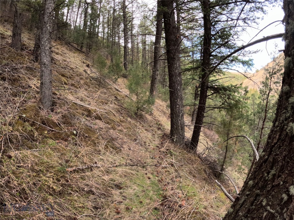 NHN Pole Gulch Road, Three Forks MT 59752