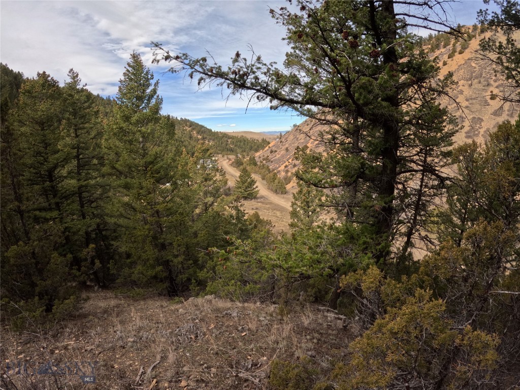 NHN Pole Gulch Road, Three Forks MT 59752
