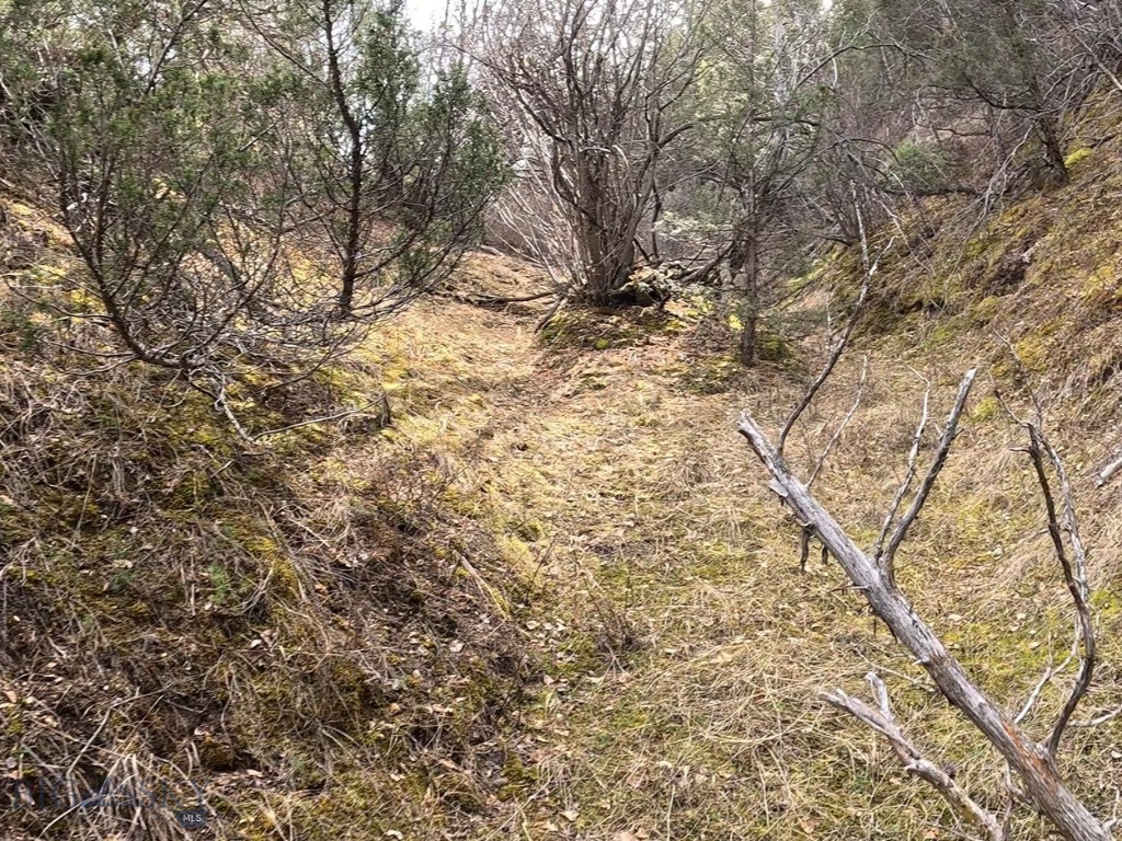NHN Pole Gulch Road, Three Forks MT 59752