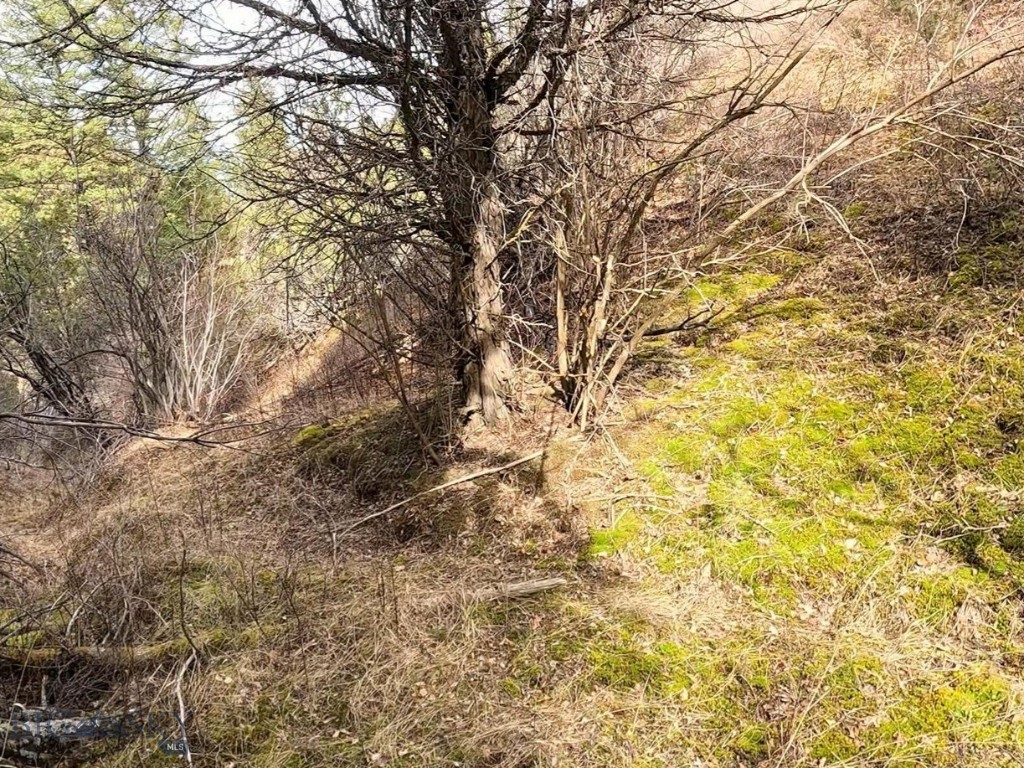 NHN Pole Gulch Road, Three Forks MT 59752