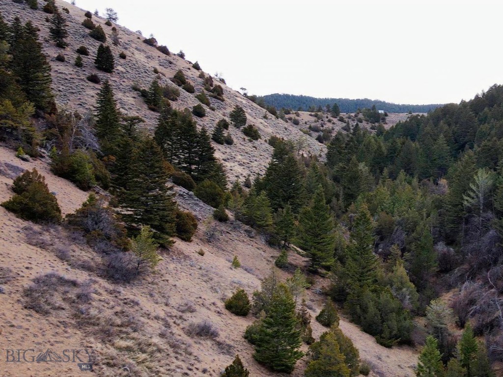 NHN Pole Gulch Road, Three Forks MT 59752