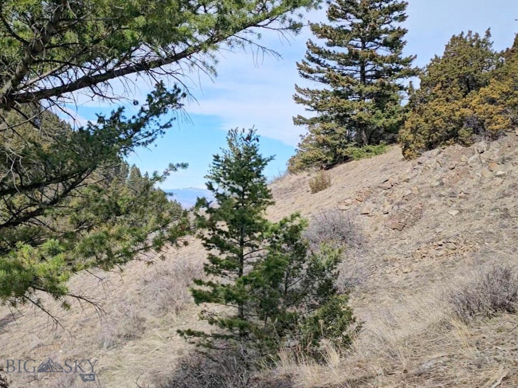 NHN Pole Gulch Road, Three Forks MT 59752