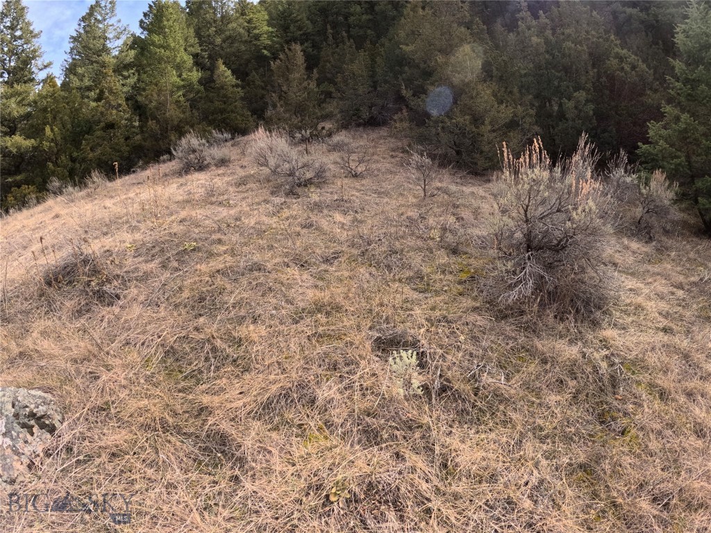 NHN Pole Gulch Road, Three Forks MT 59752