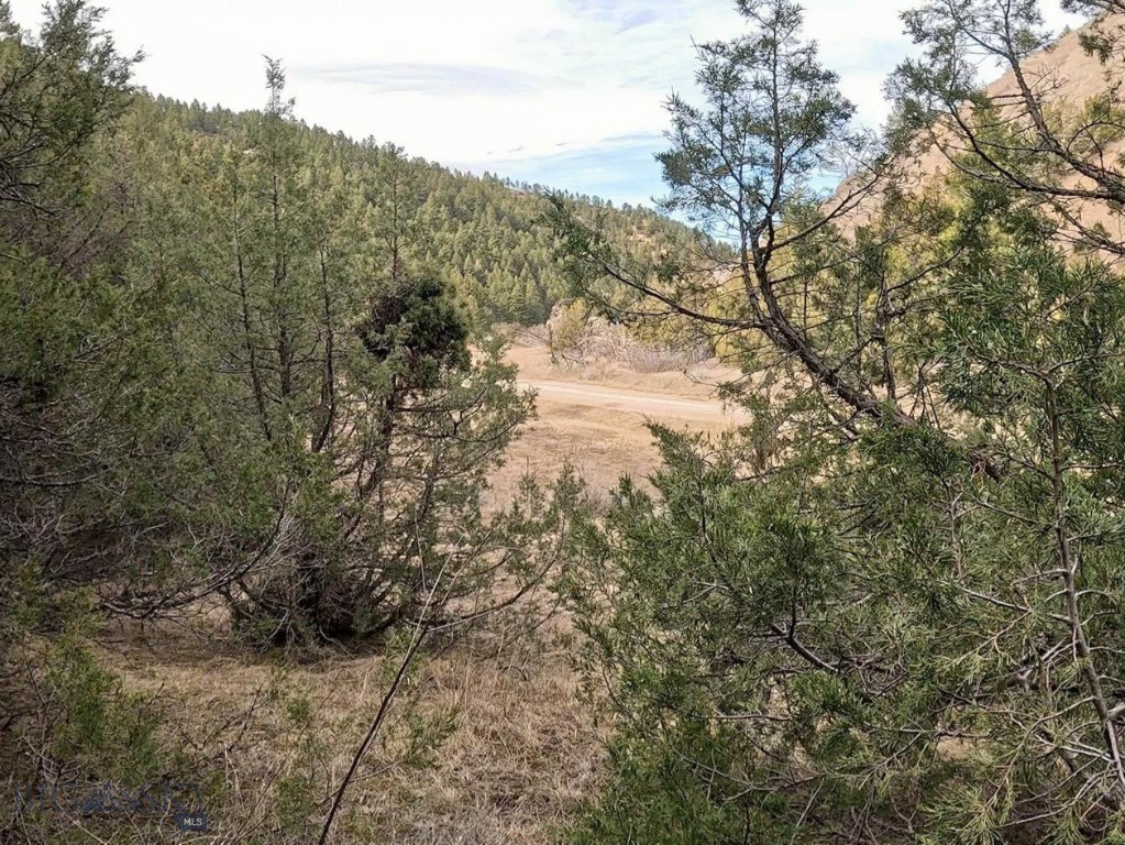 NHN Pole Gulch Road, Three Forks MT 59752