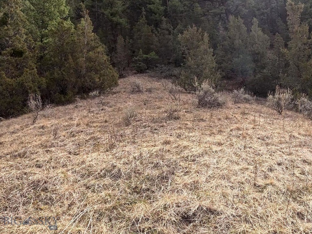 NHN Pole Gulch Road, Three Forks MT 59752