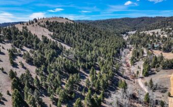 TBD Lone Pine Gulch Road, Ramsay MT 59748