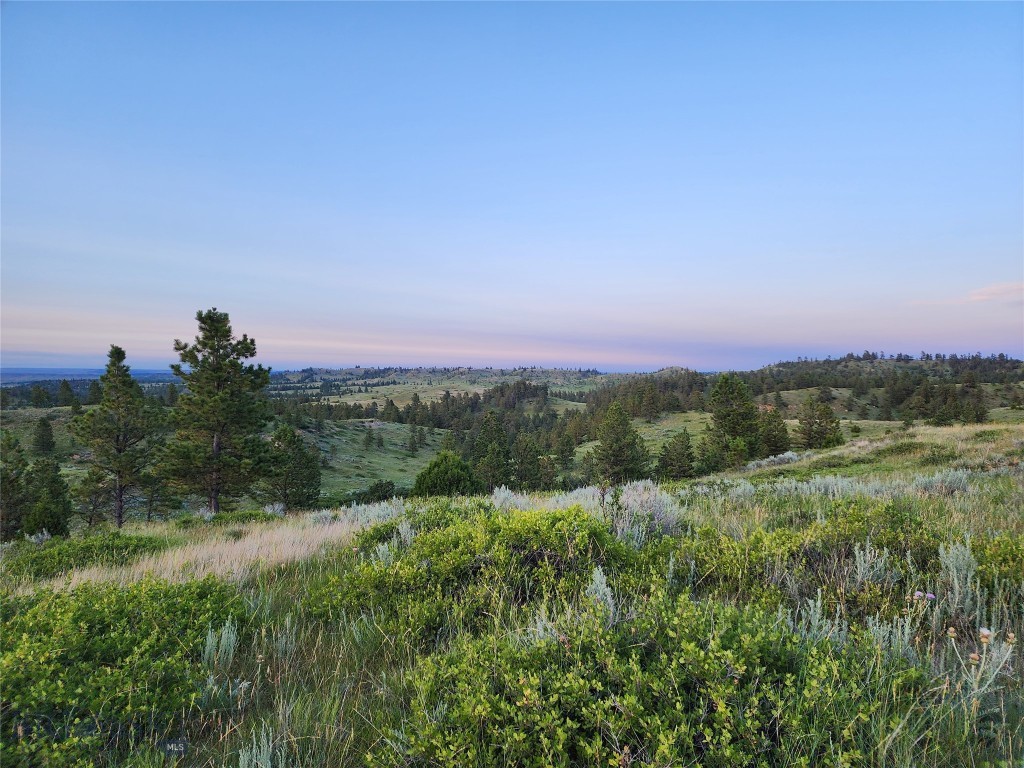 TBD Lone Rock Canyon Lane, Hysham MT 59076