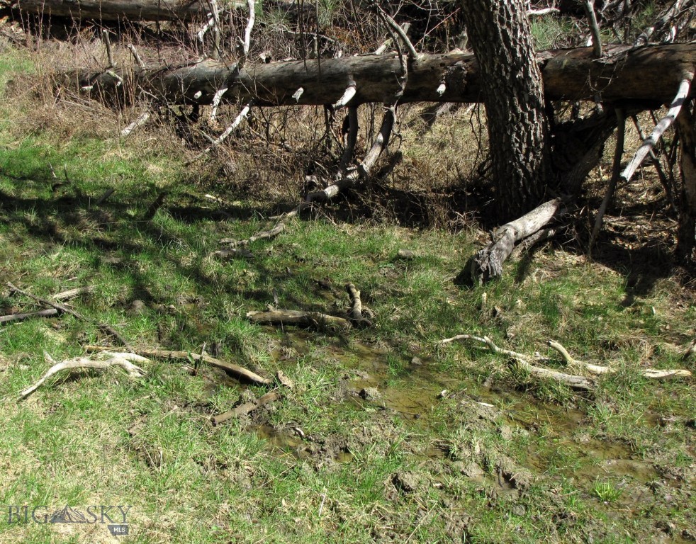 TBD Lone Rock Canyon Lane, Hysham MT 59076